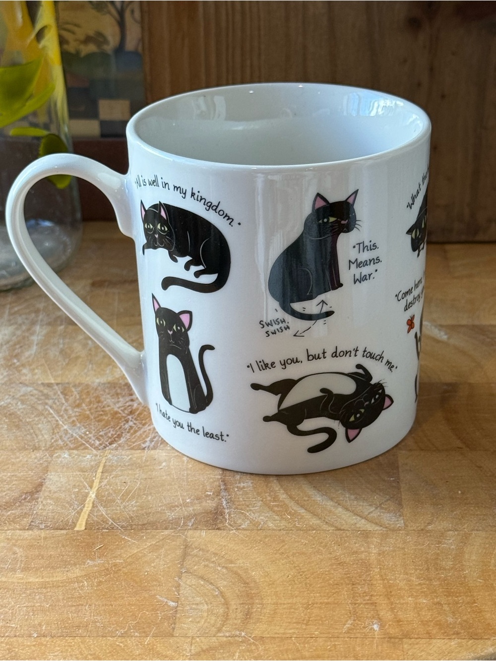 Ginger Fox Funny Black Cat Coffee Mug | Sarcastic Cat Quotes | 2022